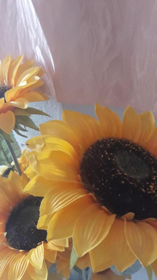 레토이아니 Casa Del Girasole 빌라 외부 사진