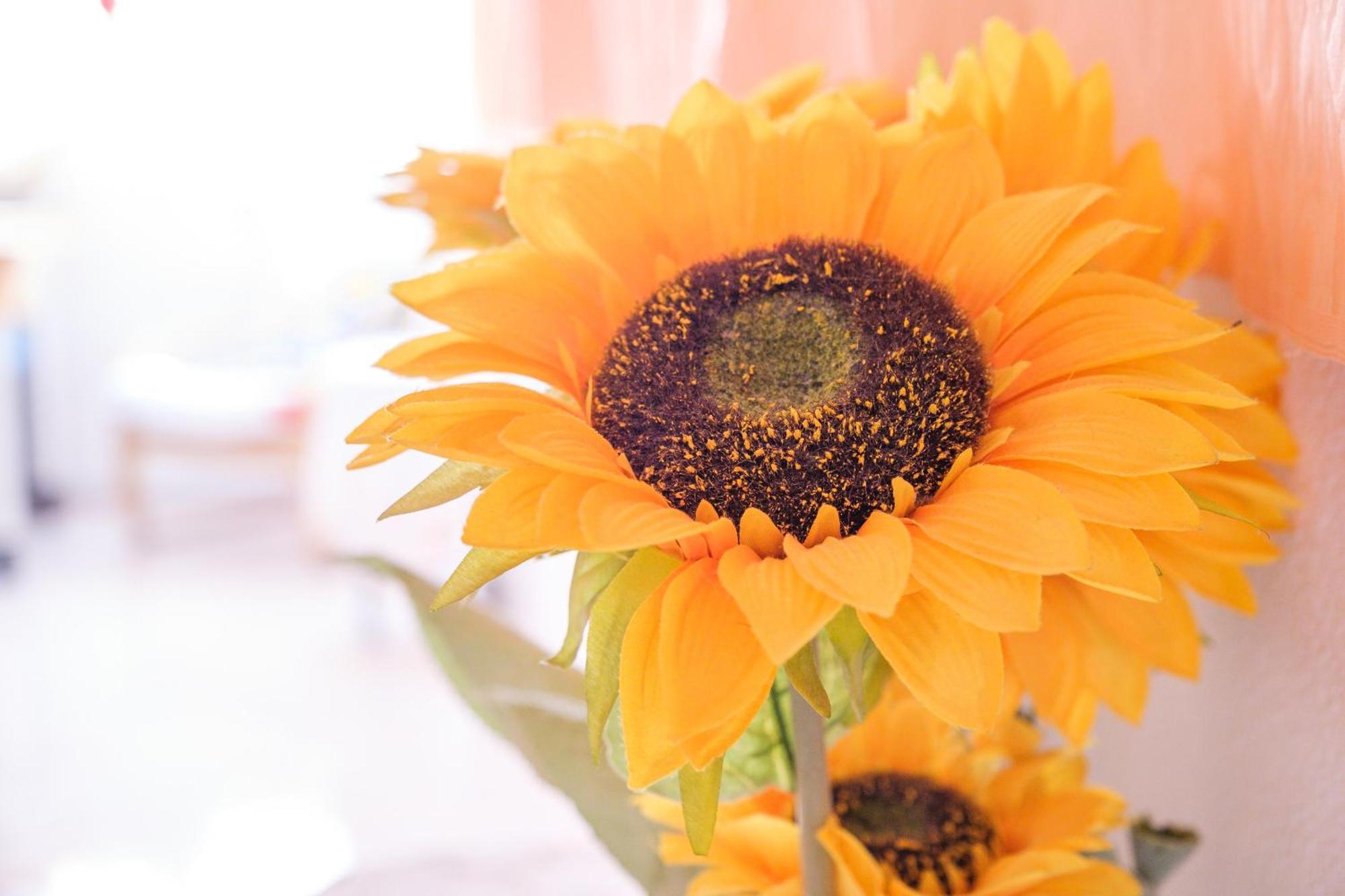 레토이아니 Casa Del Girasole 빌라 외부 사진